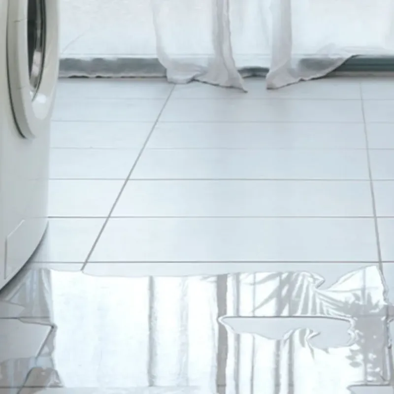Appliance Leak Cleanup in Kissimmee, FL